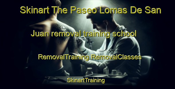 Skinart The Paseo Lomas De San Juan removal training school | #RemovalTraining #RemovalClasses #SkinartTraining-Mexico