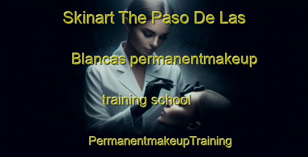 Skinart The Paso De Las Blancas permanentmakeup training school | #PermanentmakeupTraining #PermanentmakeupClasses #SkinartTraining-Mexico