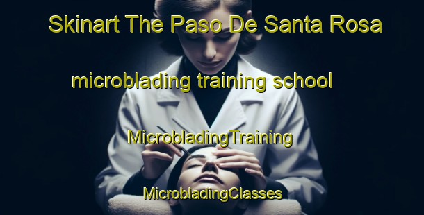 Skinart The Paso De Santa Rosa microblading training school | #MicrobladingTraining #MicrobladingClasses #SkinartTraining-Mexico