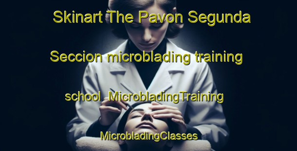 Skinart The Pavon Segunda Seccion microblading training school | #MicrobladingTraining #MicrobladingClasses #SkinartTraining-Mexico