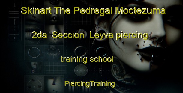 Skinart The Pedregal Moctezuma 2da  Seccion  Leyva piercing training school | #PiercingTraining #PiercingClasses #SkinartTraining-Mexico