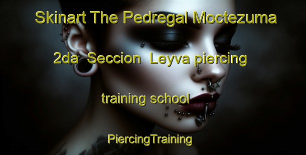 Skinart The Pedregal Moctezuma 2da  Seccion  Leyva piercing training school | #PiercingTraining #PiercingClasses #SkinartTraining-Mexico