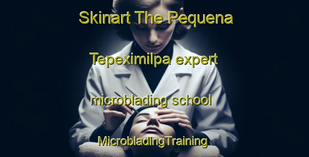 Skinart The Pequena Tepeximilpa expert microblading school | #MicrobladingTraining #MicrobladingClasses #SkinartTraining-Mexico