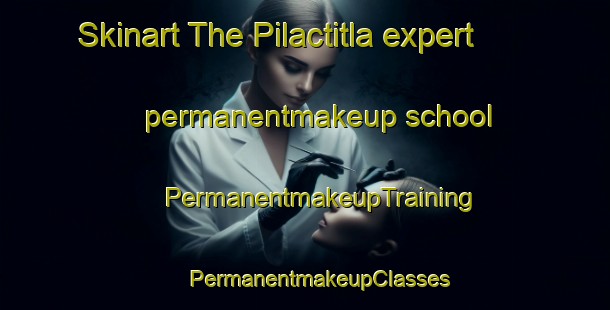 Skinart The Pilactitla expert permanentmakeup school | #PermanentmakeupTraining #PermanentmakeupClasses #SkinartTraining-Mexico