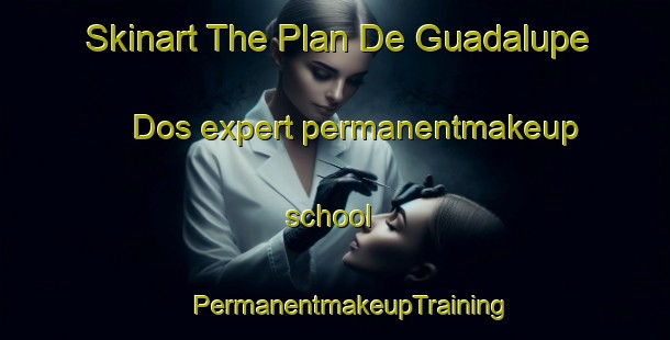 Skinart The Plan De Guadalupe Dos expert permanentmakeup school | #PermanentmakeupTraining #PermanentmakeupClasses #SkinartTraining-Mexico