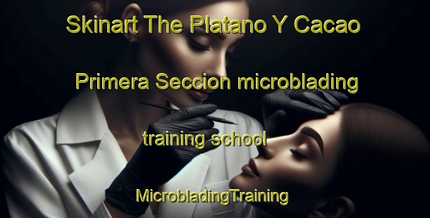 Skinart The Platano Y Cacao Primera Seccion microblading training school | #MicrobladingTraining #MicrobladingClasses #SkinartTraining-Mexico