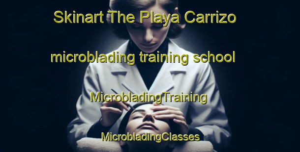 Skinart The Playa Carrizo microblading training school | #MicrobladingTraining #MicrobladingClasses #SkinartTraining-Mexico