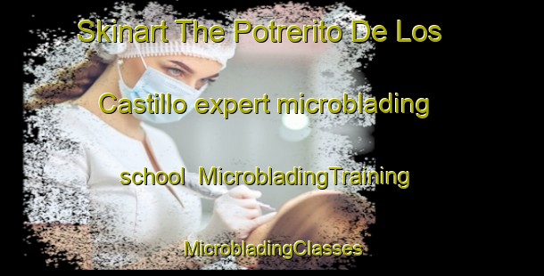 Skinart The Potrerito De Los Castillo expert microblading school | #MicrobladingTraining #MicrobladingClasses #SkinartTraining-Mexico