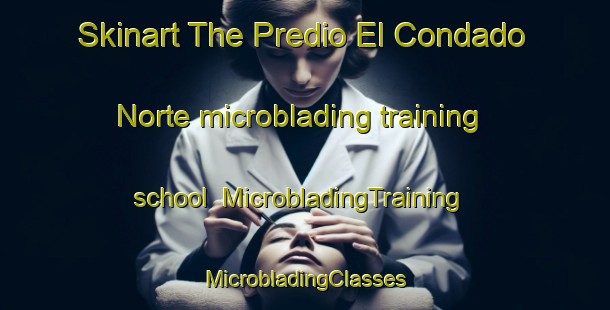 Skinart The Predio El Condado Norte microblading training school | #MicrobladingTraining #MicrobladingClasses #SkinartTraining-Mexico