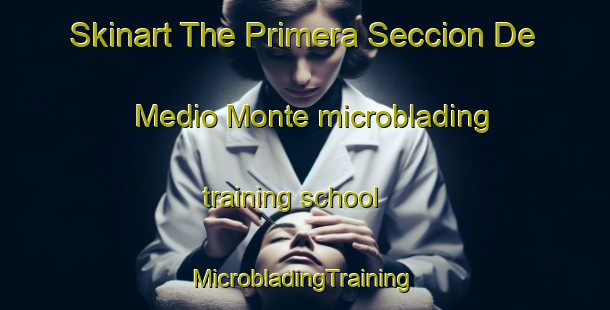 Skinart The Primera Seccion De Medio Monte microblading training school | #MicrobladingTraining #MicrobladingClasses #SkinartTraining-Mexico