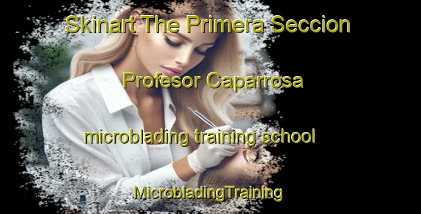 Skinart The Primera Seccion Profesor Caparrosa microblading training school | #MicrobladingTraining #MicrobladingClasses #SkinartTraining-Mexico