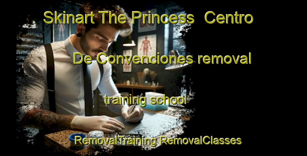 Skinart The Princess  Centro De Convenciones removal training school | #RemovalTraining #RemovalClasses #SkinartTraining-Mexico