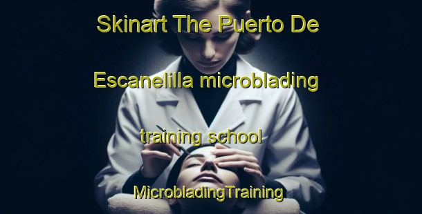 Skinart The Puerto De Escanelilla microblading training school | #MicrobladingTraining #MicrobladingClasses #SkinartTraining-Mexico