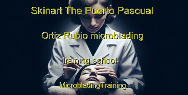 Skinart The Puerto Pascual Ortiz Rubio microblading training school | #MicrobladingTraining #MicrobladingClasses #SkinartTraining-Mexico