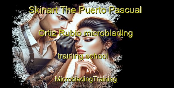 Skinart The Puerto Pascual Ortiz Rubio microblading training school | #MicrobladingTraining #MicrobladingClasses #SkinartTraining-Mexico