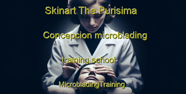 Skinart The Purisima Concepcion microblading training school | #MicrobladingTraining #MicrobladingClasses #SkinartTraining-Mexico