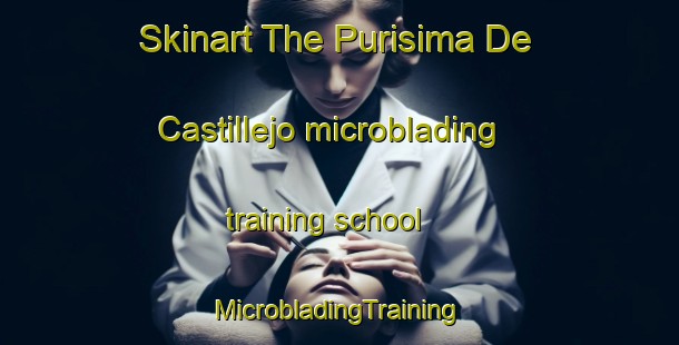 Skinart The Purisima De Castillejo microblading training school | #MicrobladingTraining #MicrobladingClasses #SkinartTraining-Mexico