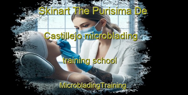 Skinart The Purisima De Castillejo microblading training school | #MicrobladingTraining #MicrobladingClasses #SkinartTraining-Mexico