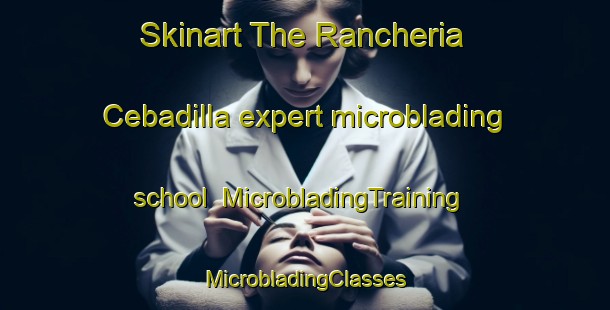 Skinart The Rancheria Cebadilla expert microblading school | #MicrobladingTraining #MicrobladingClasses #SkinartTraining-Mexico