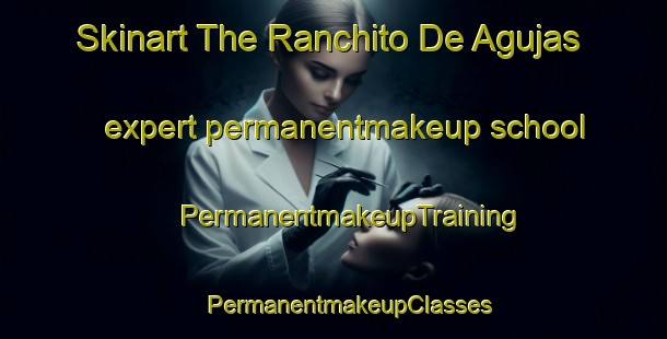 Skinart The Ranchito De Agujas expert permanentmakeup school | #PermanentmakeupTraining #PermanentmakeupClasses #SkinartTraining-Mexico