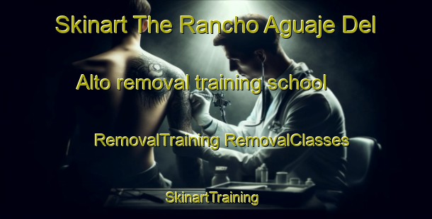 Skinart The Rancho Aguaje Del Alto removal training school | #RemovalTraining #RemovalClasses #SkinartTraining-Mexico