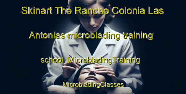 Skinart The Rancho Colonia Las Antonias microblading training school | #MicrobladingTraining #MicrobladingClasses #SkinartTraining-Mexico