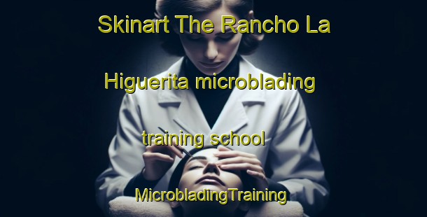 Skinart The Rancho La Higuerita microblading training school | #MicrobladingTraining #MicrobladingClasses #SkinartTraining-Mexico