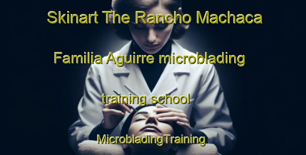 Skinart The Rancho Machaca  Familia Aguirre microblading training school | #MicrobladingTraining #MicrobladingClasses #SkinartTraining-Mexico