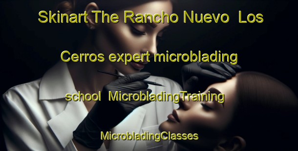 Skinart The Rancho Nuevo  Los Cerros expert microblading school | #MicrobladingTraining #MicrobladingClasses #SkinartTraining-Mexico