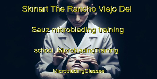 Skinart The Rancho Viejo Del Sauz microblading training school | #MicrobladingTraining #MicrobladingClasses #SkinartTraining-Mexico