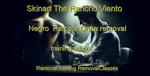 Skinart The Rancho Viento Negro  Parcela Once removal training school | #RemovalTraining #RemovalClasses #SkinartTraining-Mexico