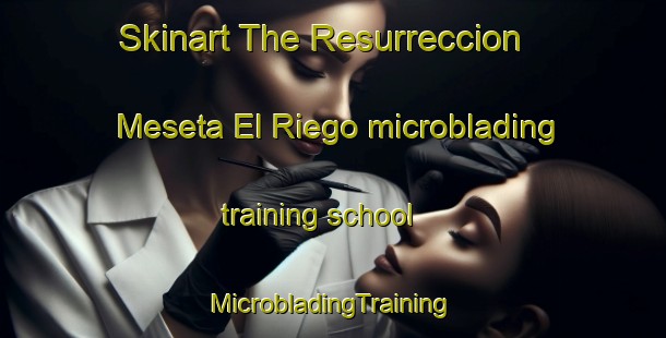 Skinart The Resurreccion  Meseta El Riego microblading training school | #MicrobladingTraining #MicrobladingClasses #SkinartTraining-Mexico