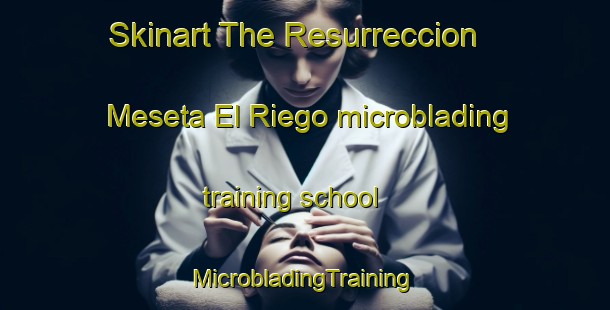 Skinart The Resurreccion  Meseta El Riego microblading training school | #MicrobladingTraining #MicrobladingClasses #SkinartTraining-Mexico