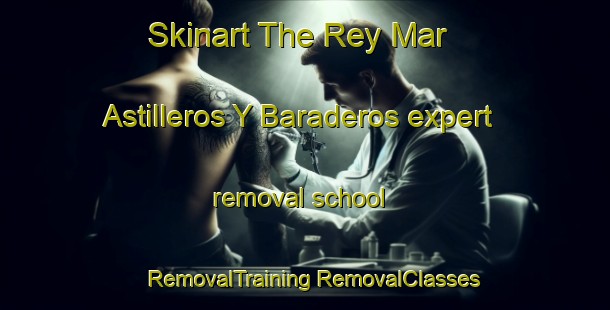 Skinart The Rey Mar  Astilleros Y Baraderos expert removal school | #RemovalTraining #RemovalClasses #SkinartTraining-Mexico