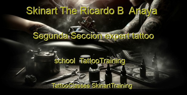 Skinart The Ricardo B  Anaya Segunda Seccion expert tattoo school | #TattooTraining #TattooClasses #SkinartTraining-Mexico