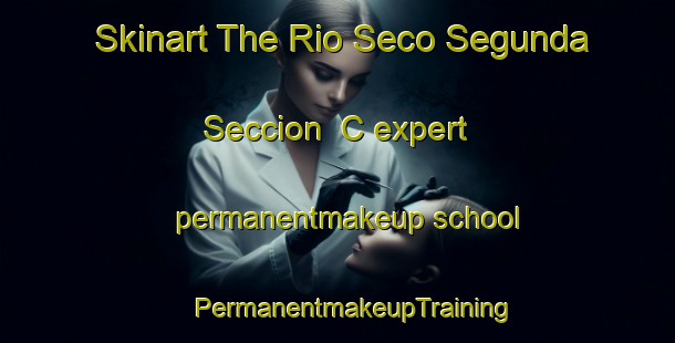 Skinart The Rio Seco Segunda Seccion  C expert permanentmakeup school | #PermanentmakeupTraining #PermanentmakeupClasses #SkinartTraining-Mexico