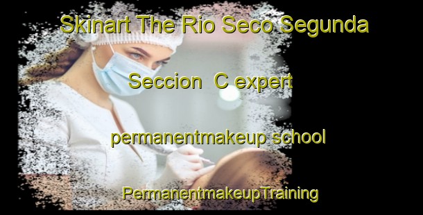 Skinart The Rio Seco Segunda Seccion  C expert permanentmakeup school | #PermanentmakeupTraining #PermanentmakeupClasses #SkinartTraining-Mexico