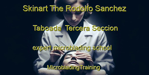 Skinart The Rodolfo Sanchez Taboada  Tercera Seccion expert microblading school | #MicrobladingTraining #MicrobladingClasses #SkinartTraining-Mexico