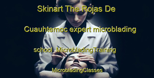 Skinart The Rojas De Cuauhtemoc expert microblading school | #MicrobladingTraining #MicrobladingClasses #SkinartTraining-Mexico