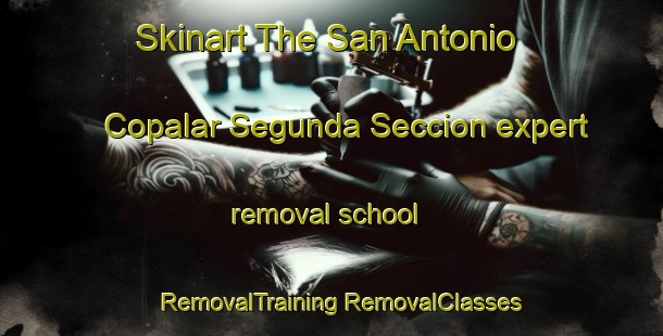 Skinart The San Antonio Copalar Segunda Seccion expert removal school | #RemovalTraining #RemovalClasses #SkinartTraining-Mexico