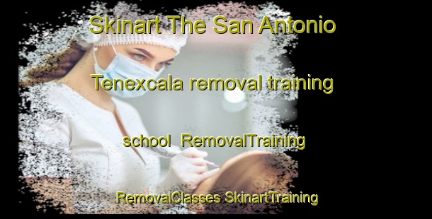 Skinart The San Antonio Tenexcala removal training school | #RemovalTraining #RemovalClasses #SkinartTraining-Mexico