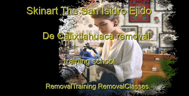 Skinart The San Isidro Ejido De Calixtlahuaca removal training school | #RemovalTraining #RemovalClasses #SkinartTraining-Mexico