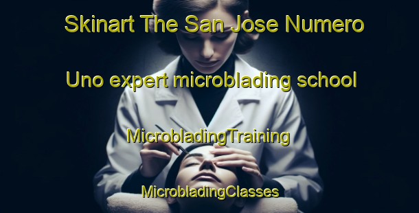 Skinart The San Jose Numero Uno expert microblading school | #MicrobladingTraining #MicrobladingClasses #SkinartTraining-Mexico