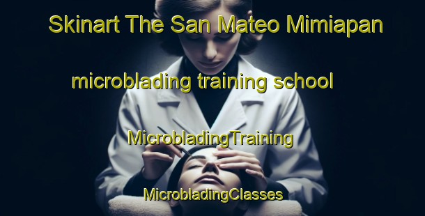 Skinart The San Mateo Mimiapan microblading training school | #MicrobladingTraining #MicrobladingClasses #SkinartTraining-Mexico