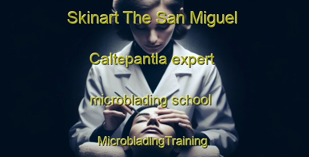 Skinart The San Miguel Caltepantla expert microblading school | #MicrobladingTraining #MicrobladingClasses #SkinartTraining-Mexico