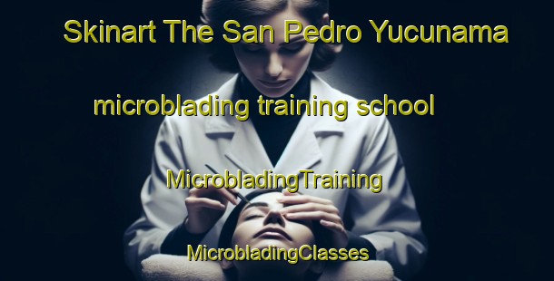 Skinart The San Pedro Yucunama microblading training school | #MicrobladingTraining #MicrobladingClasses #SkinartTraining-Mexico