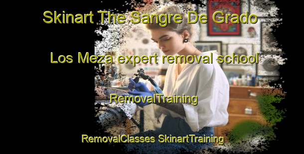 Skinart The Sangre De Grado  Los Meza expert removal school | #RemovalTraining #RemovalClasses #SkinartTraining-Mexico