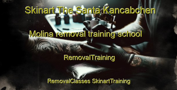 Skinart The Santa Kancabchen Molina removal training school | #RemovalTraining #RemovalClasses #SkinartTraining-Mexico