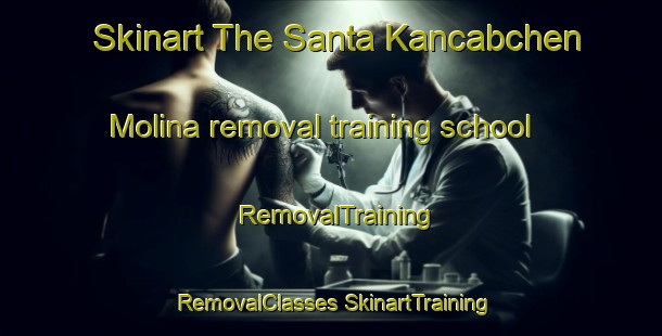 Skinart The Santa Kancabchen Molina removal training school | #RemovalTraining #RemovalClasses #SkinartTraining-Mexico