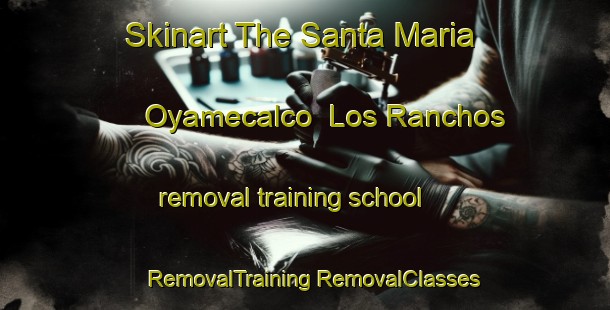 Skinart The Santa Maria Oyamecalco  Los Ranchos removal training school | #RemovalTraining #RemovalClasses #SkinartTraining-Mexico